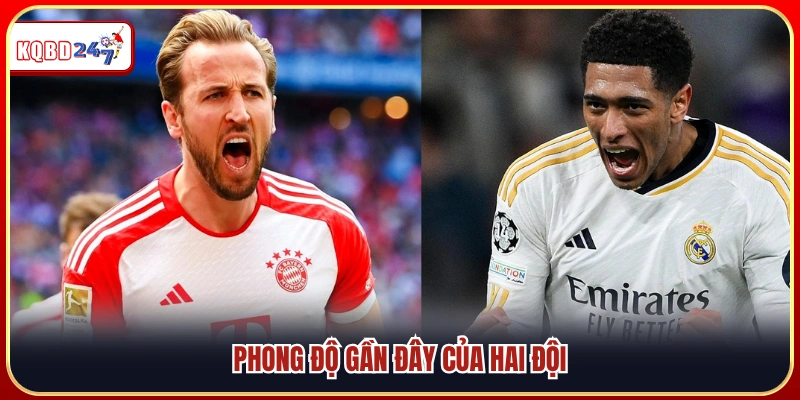 Thành tích thi đấu gần đây nhất của hai đội